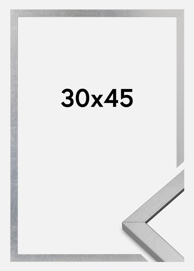 Moldura Minerva Vidro acrílico Prateado 30x45 cm