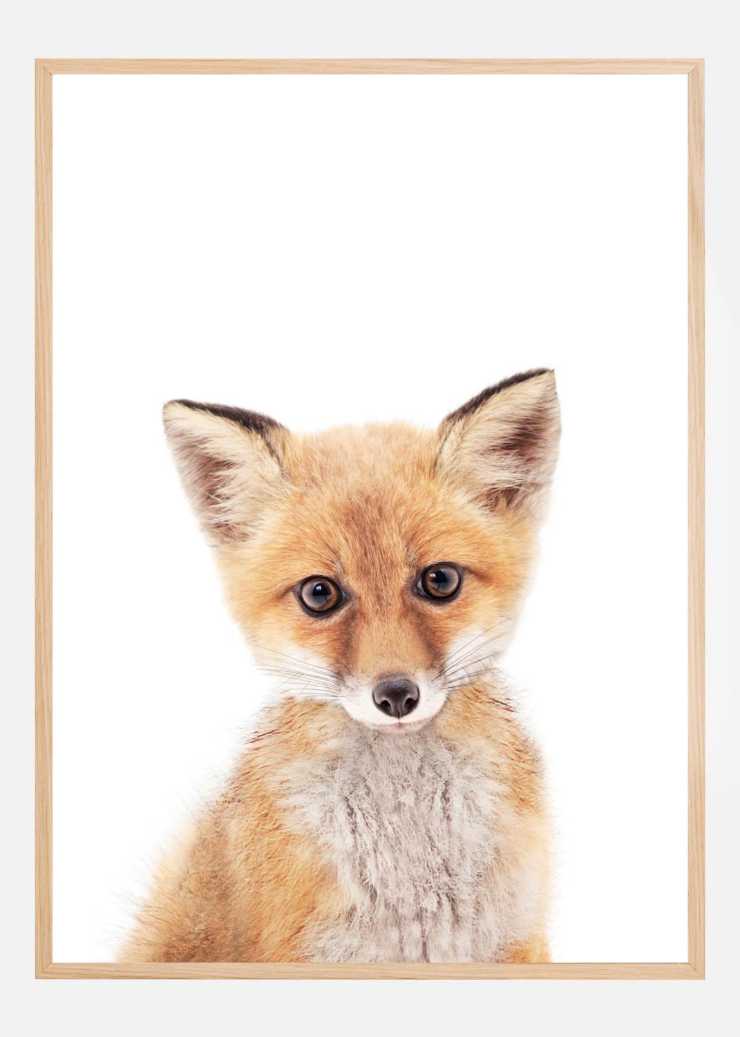 Product Image for Baby Fox Póster (40x60 cm)