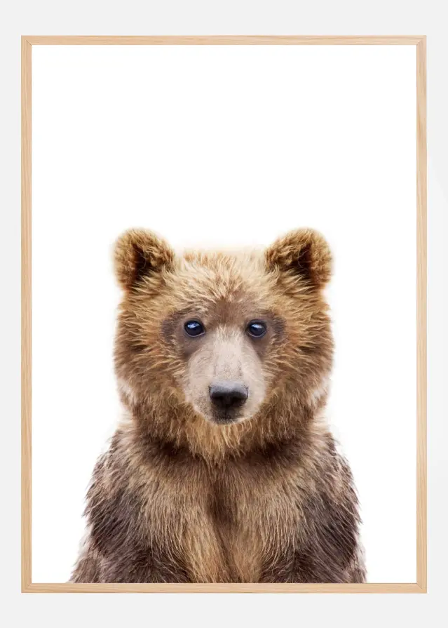 Baby Bear Póster