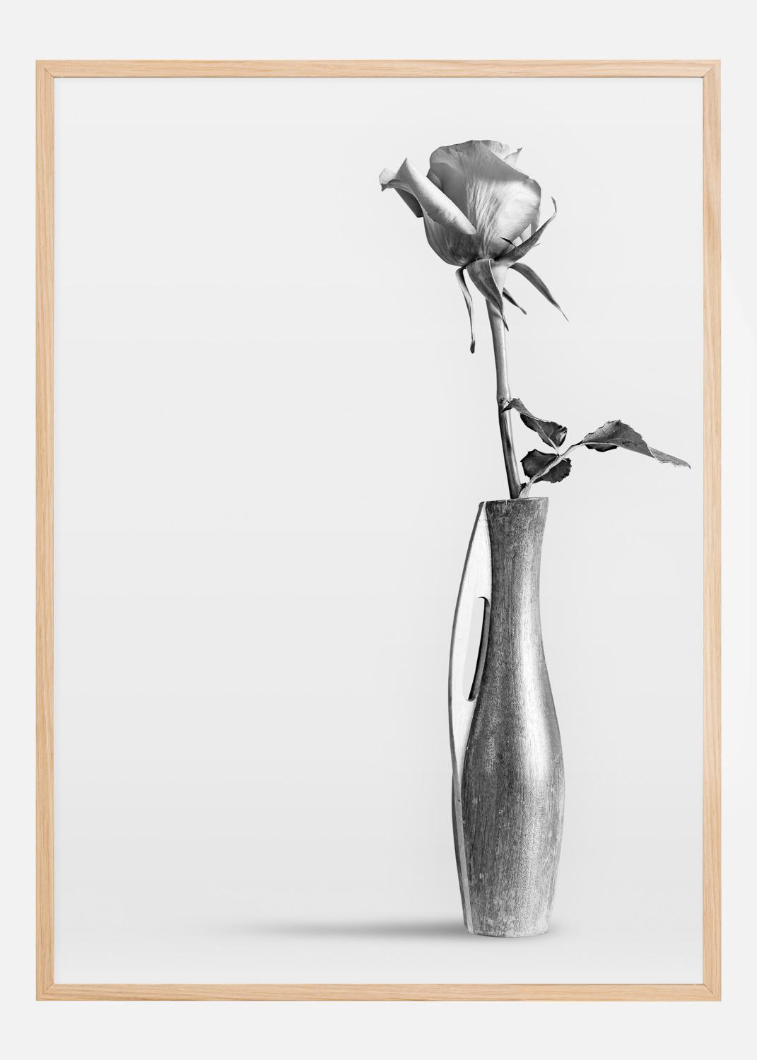 Product Image for Alone in a wase Póster (21x29.7 cm (A4))