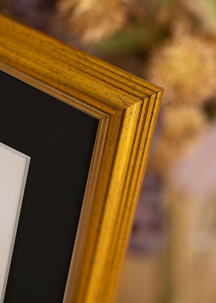 Moldura Västkusten Dourado 50x60 cm - Passe-partout Preto 15x20 inches