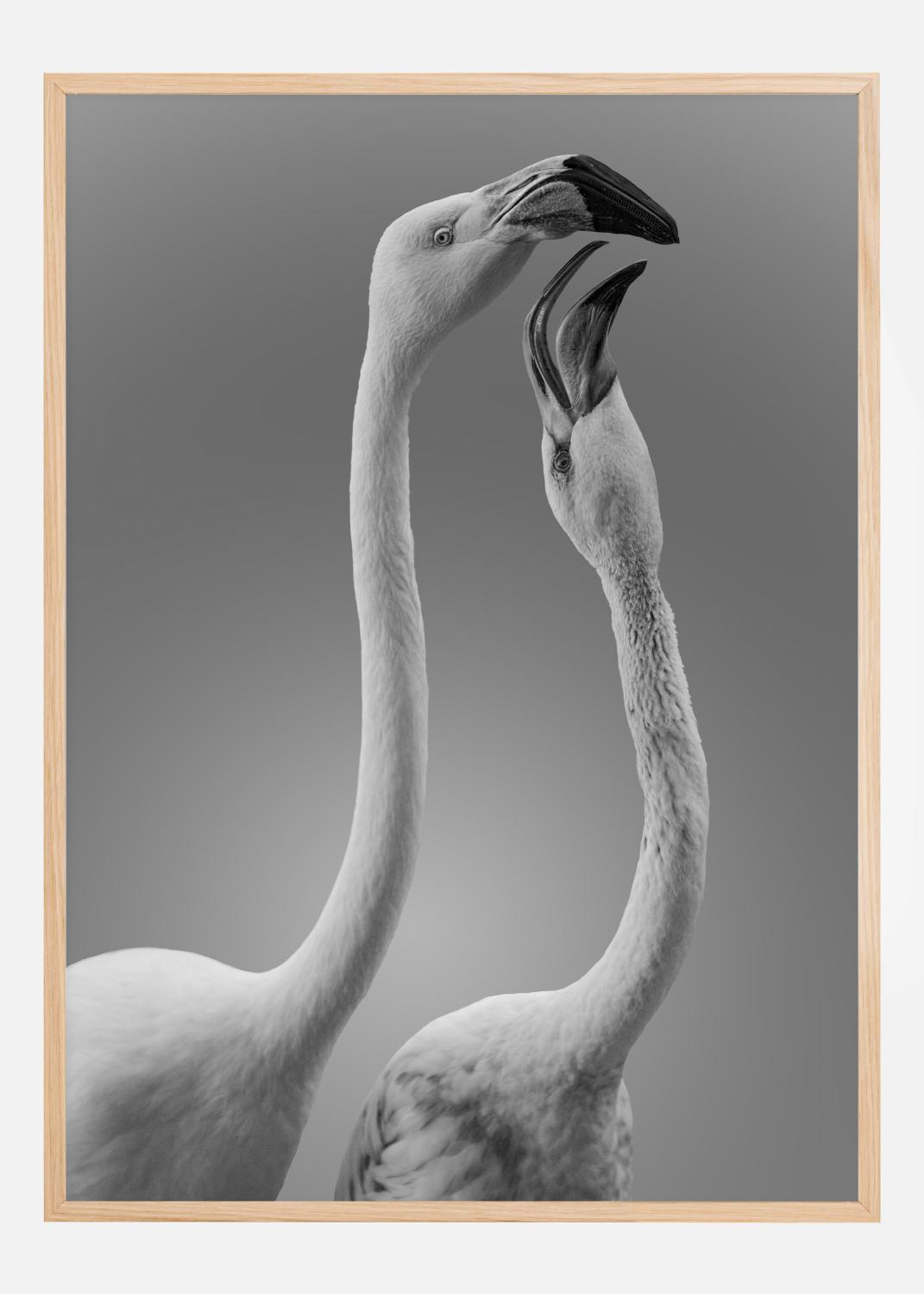 Product Image for Kiss Of Life Póster (21x29.7 cm (A4))