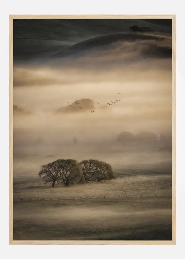 Morning Fog Póster