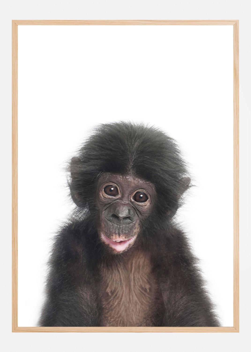 Product Image for Baby Monkey Póster (21x29.7 cm (A4))