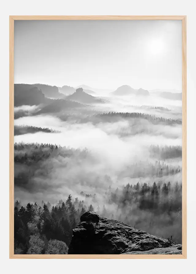 Foggy Forest Black & White I - 50x70 cm Póster
