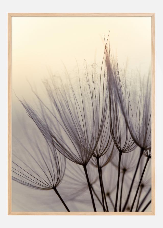 Dandelion children Póster