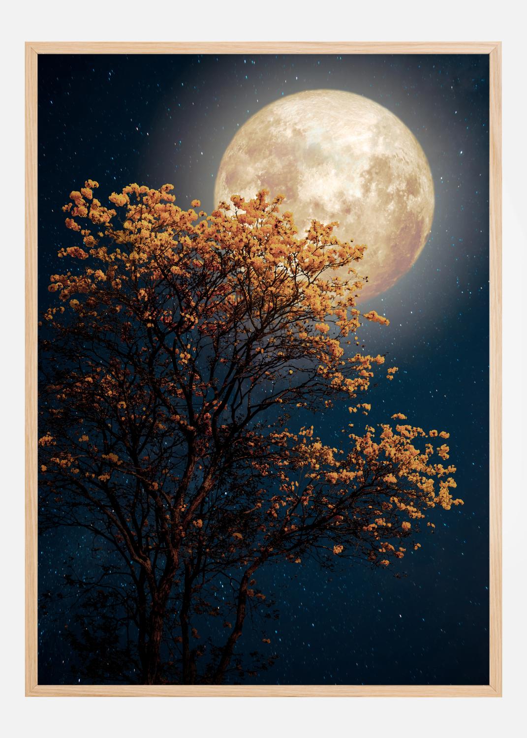 Product Image for Tree in moonlight Póster (21x29.7 cm (A4))
