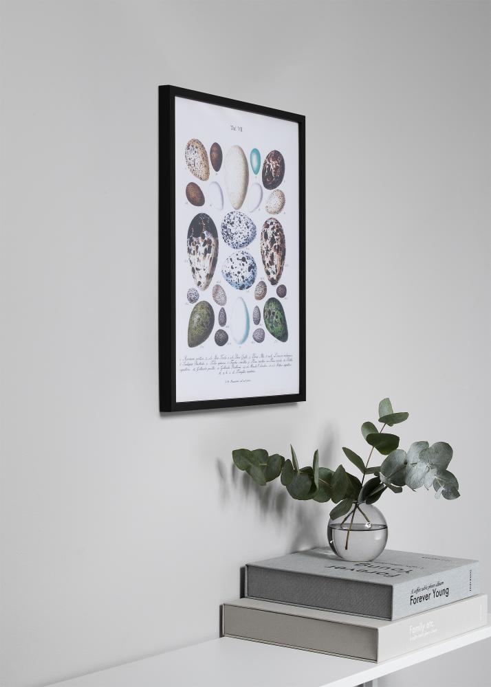 Moldura Oslo Preto 30x40 cm - Passe-partout Preto 18x27 cm