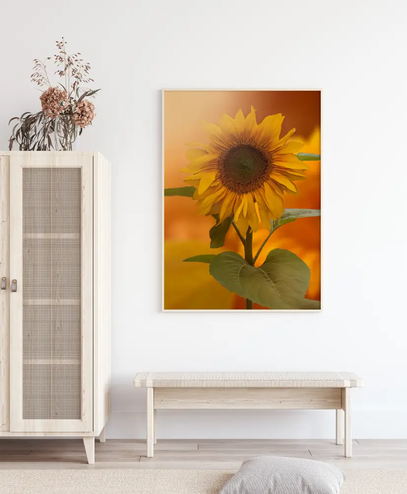 Sunflower Póster