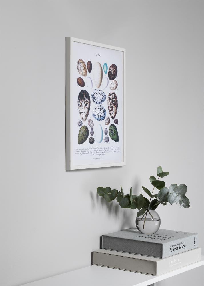 Moldura Oslo Branco 30x40 cm - Passe-partout Preto 18x27 cm