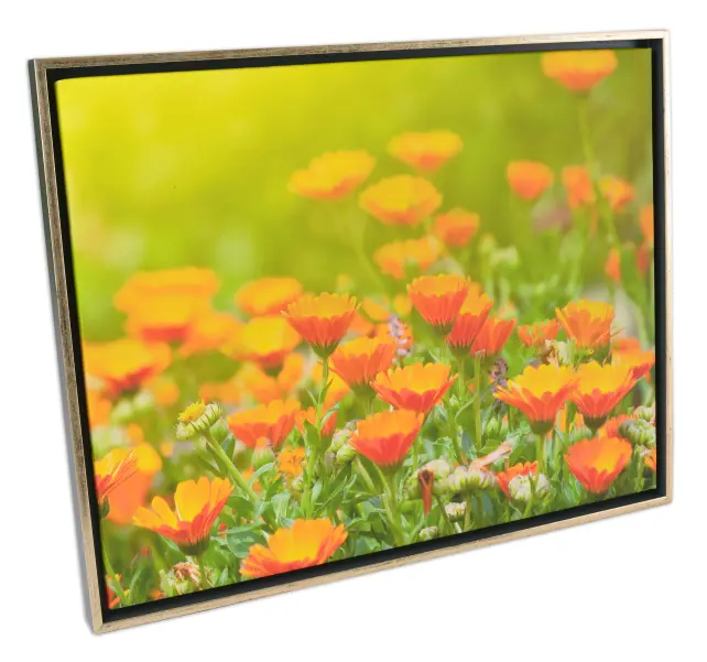Moldura Åsen Moldura para telas Cinzento-escuro/Dourado - Tamanho personalizável
