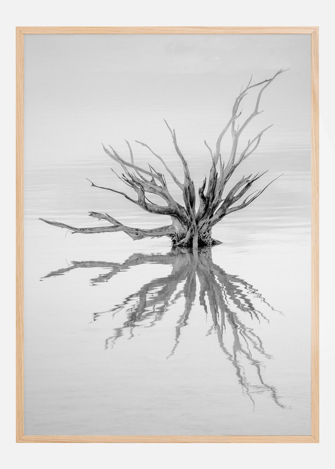 Product Image for Reaching Out Póster (21x29.7 cm (A4))