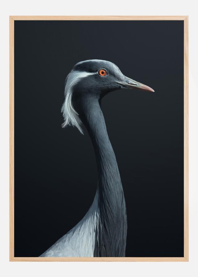 La Demoiselle Póster