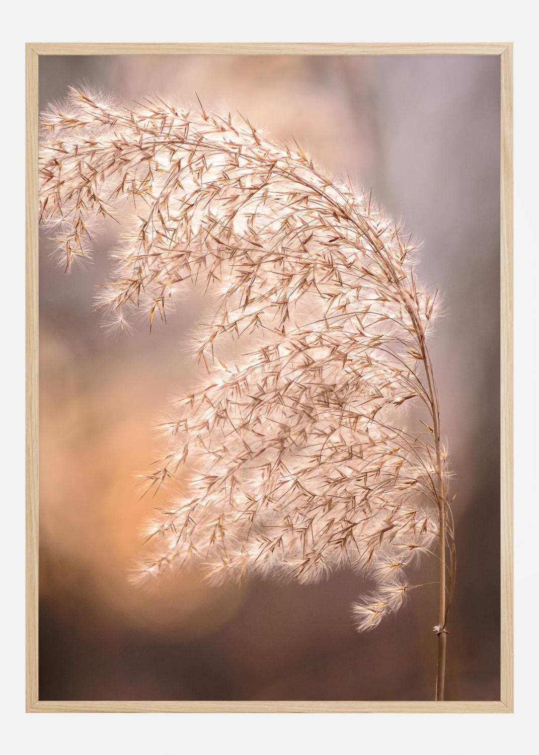 Product Image for Sunny Field Póster (21x29.7 cm (A4))