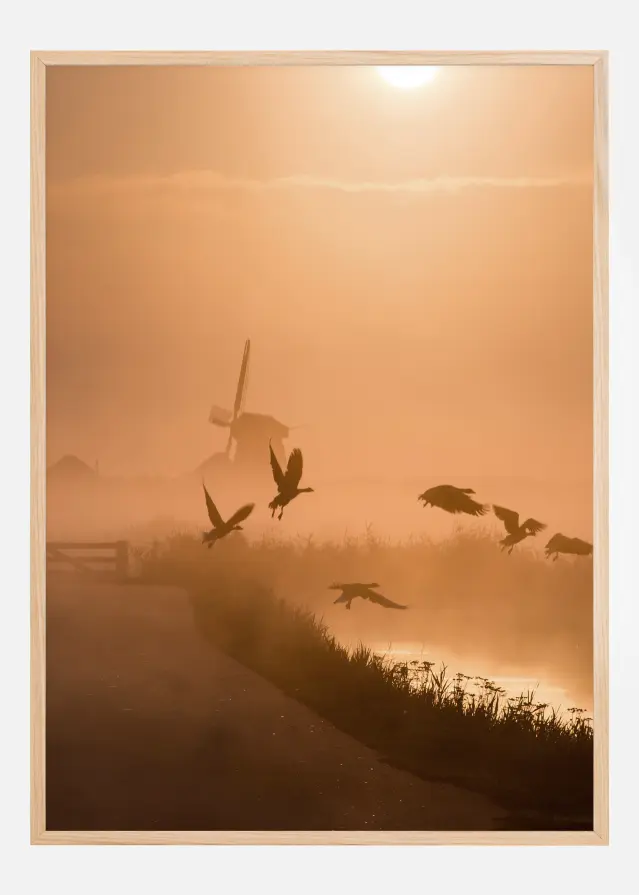 Sunrise Flight Póster