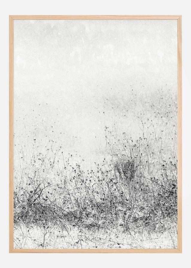 The endless grassfields Póster