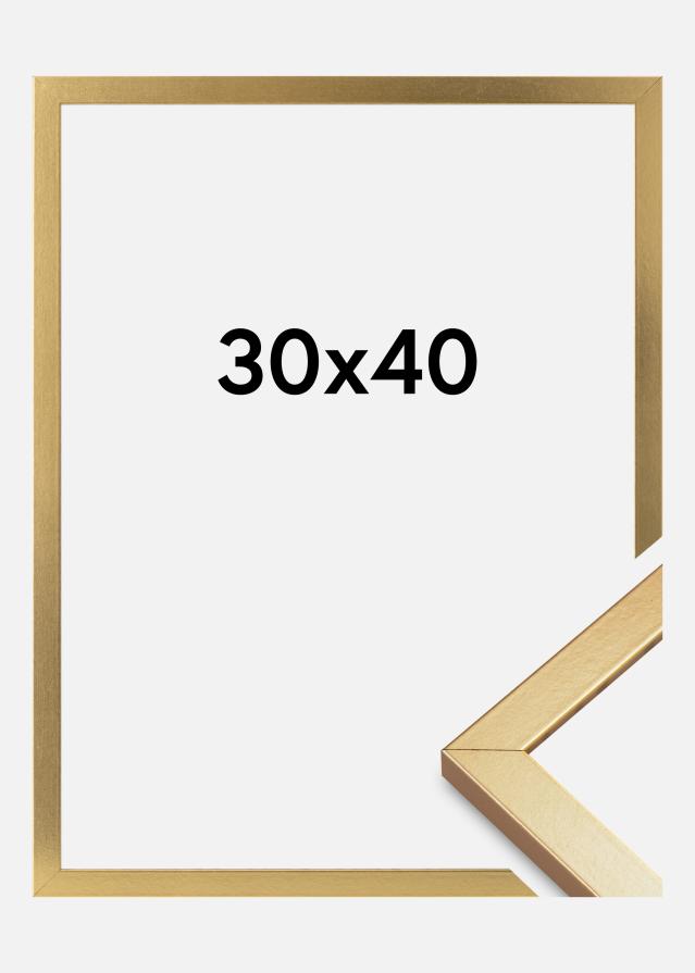 Moldura Minerva Vidro acrílico Dourado 30x40 cm