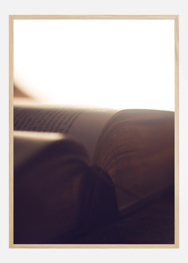 Cartaz do Livro da Luz