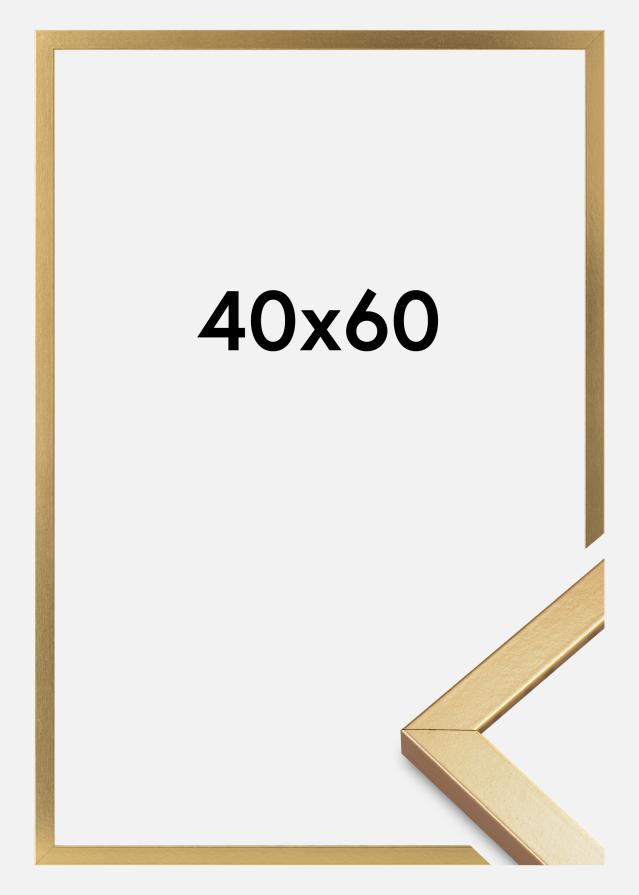 Moldura Minerva Vidro acrílico Dourado 40x60 cm