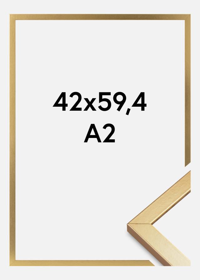 Moldura Minerva Vidro acrílico Dourado 42x59,4 cm (A2)