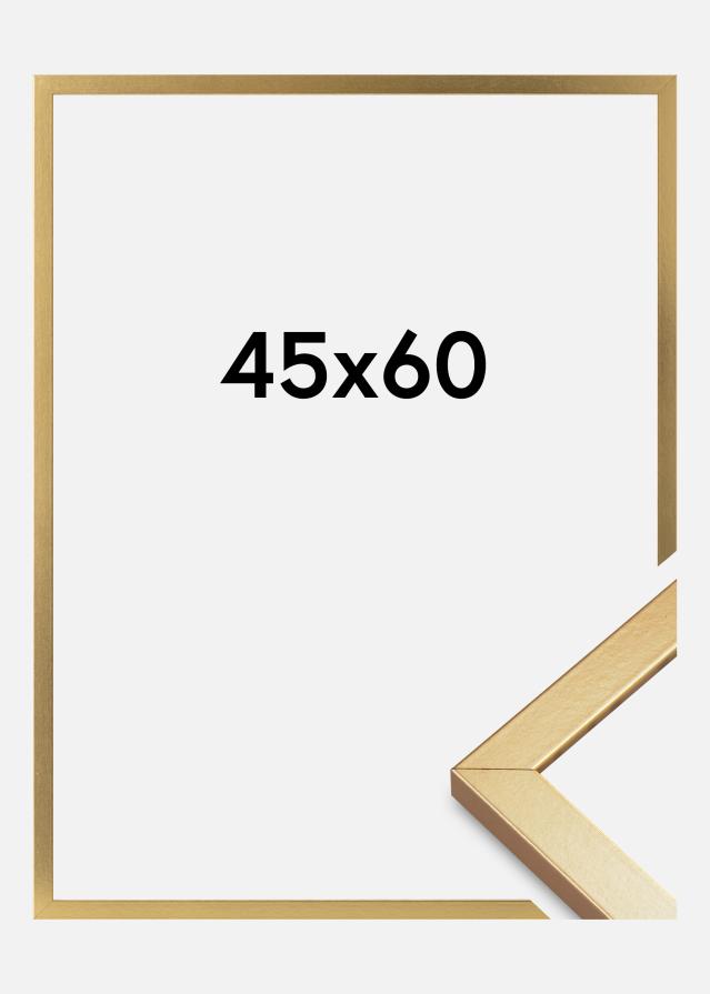 Moldura Minerva Vidro acrílico Dourado 45x60 cm