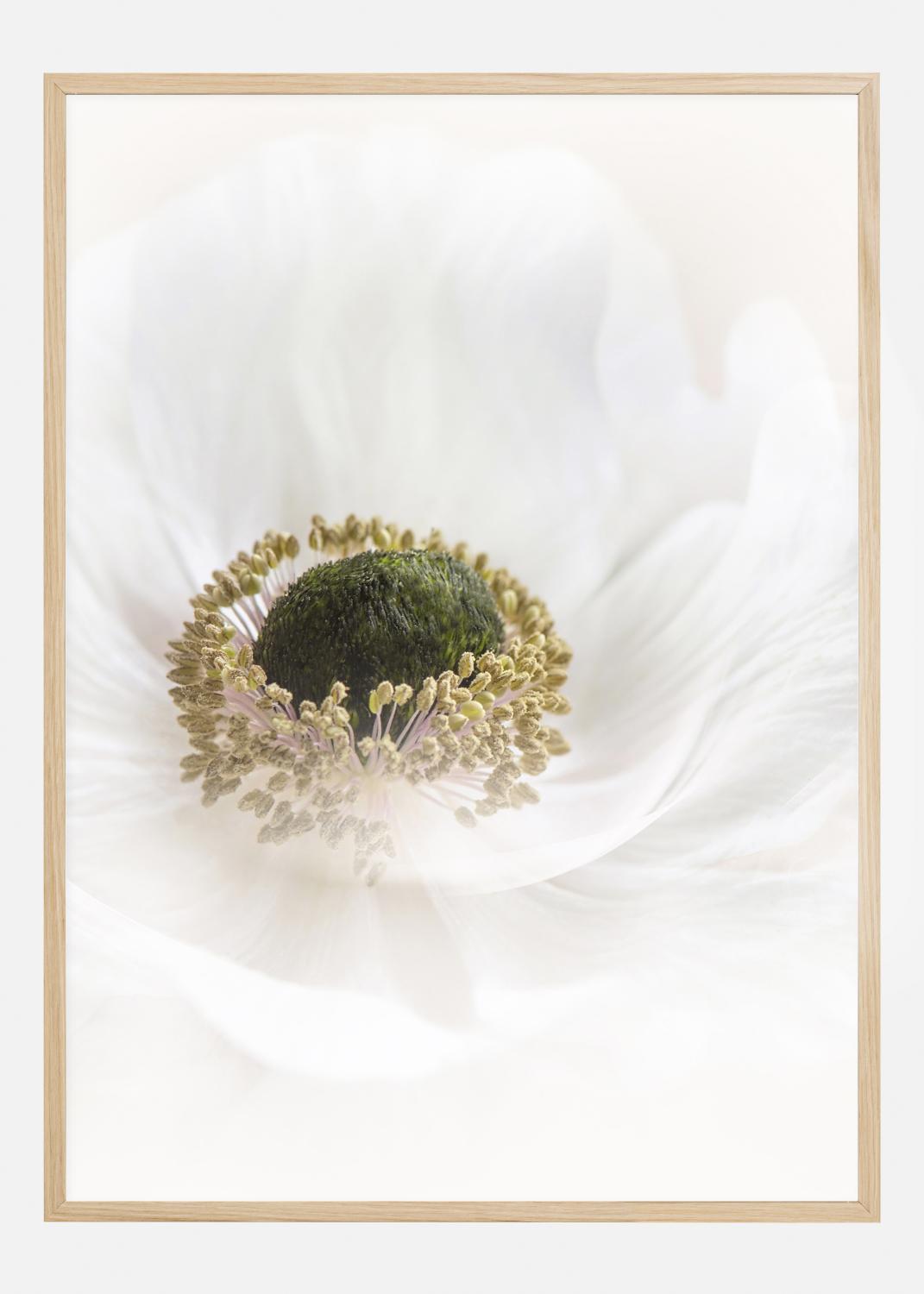 Product Image for Pure Póster (21x29.7 cm (A4))