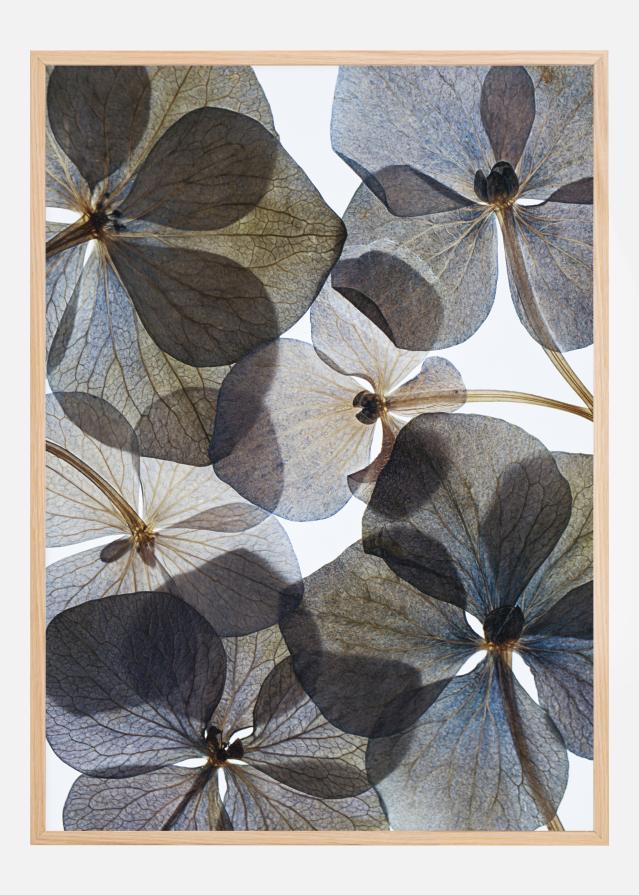 Botanical I Póster