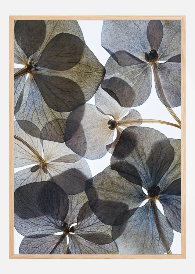 Botanical I Póster