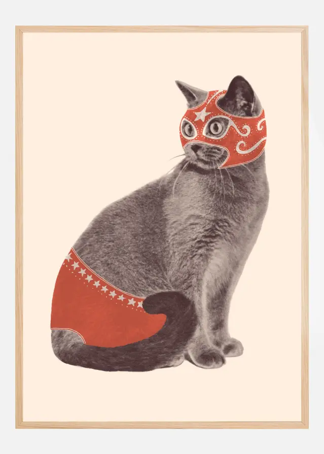 Chat Catcheur Póster