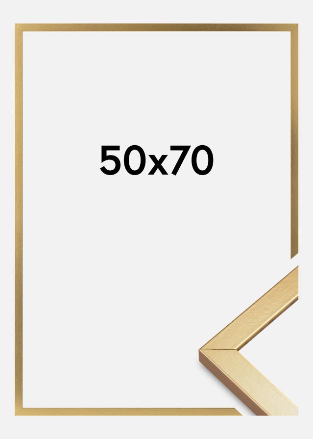 Moldura Minerva Vidro acrílico Dourado 50x70 cm