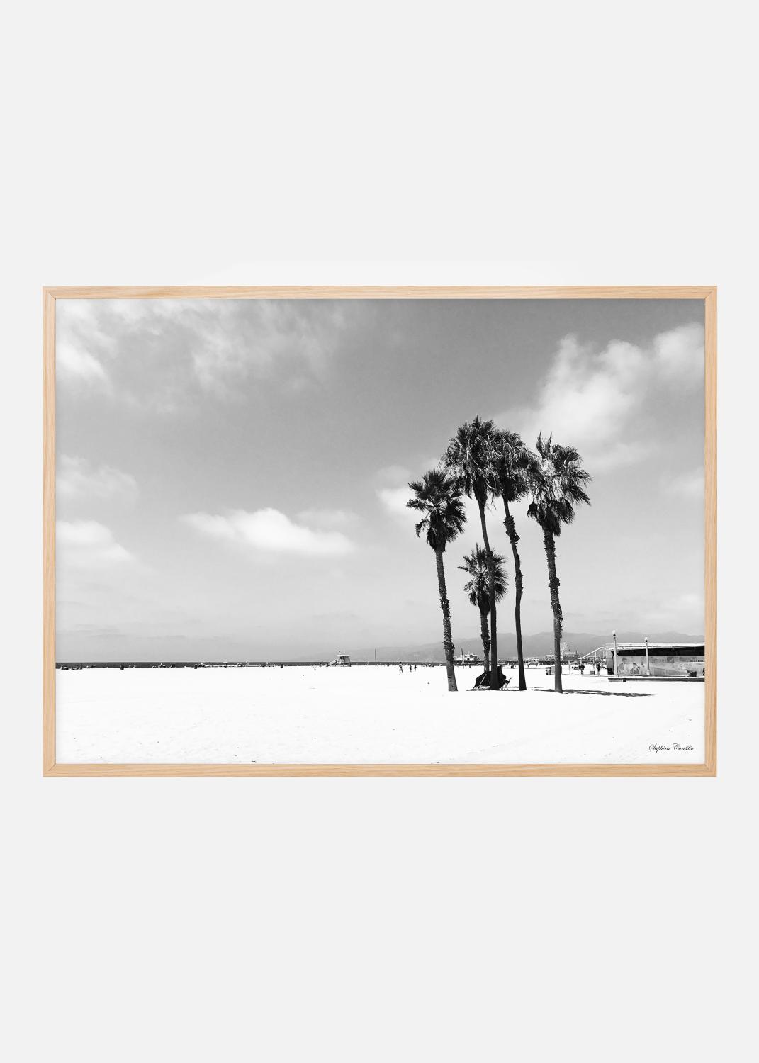 Product Image for Venice Beach Ocean Póster (21x29.7 cm (A4))