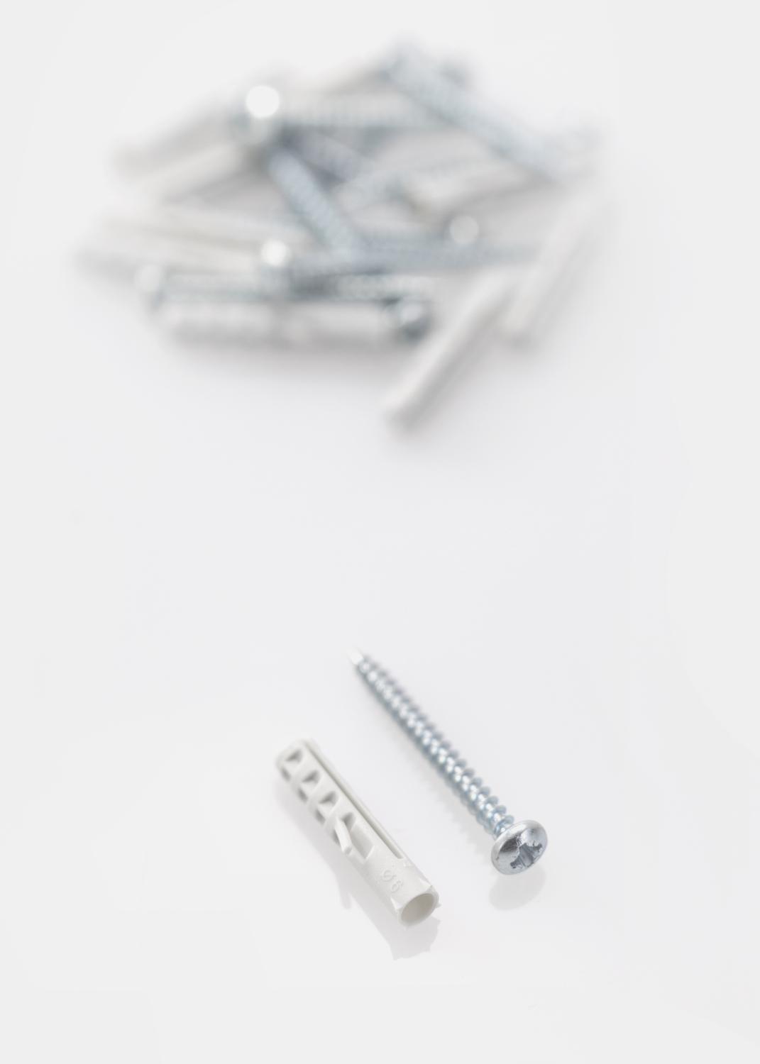 Product Image for Buchas 25 x 5,5 mm com parafusos 10-p