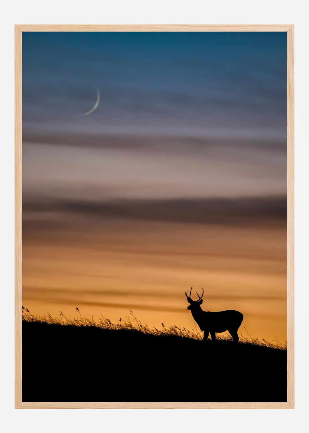Product Image for Deer In Sunset Póster (21x29.7 cm (A4))