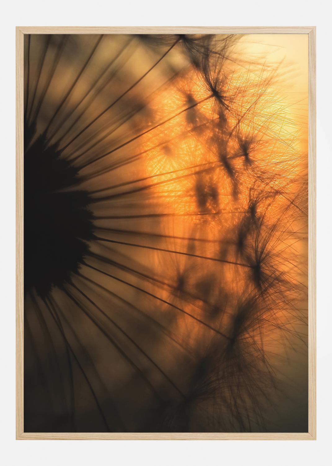 Product Image for Sunset Póster (21x29.7 cm (A4))