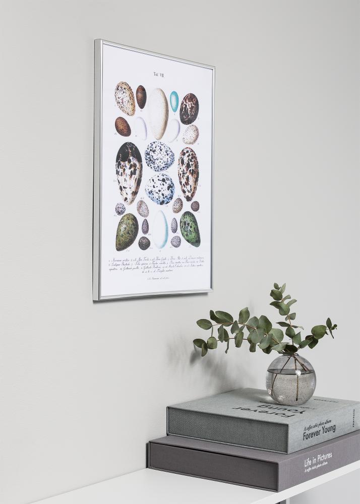 Moldura Can-Can Prateado 40x40 cm