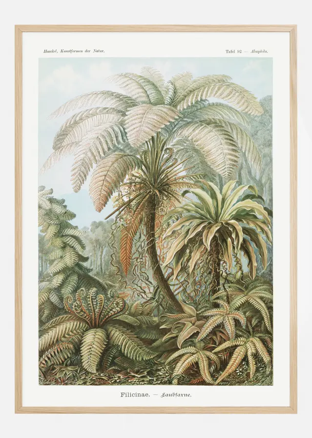 Botanicum Póster