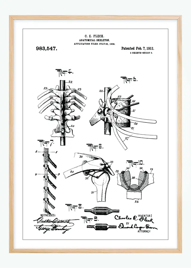 Desenho de patentes - Esqueleto anatómico III Póster