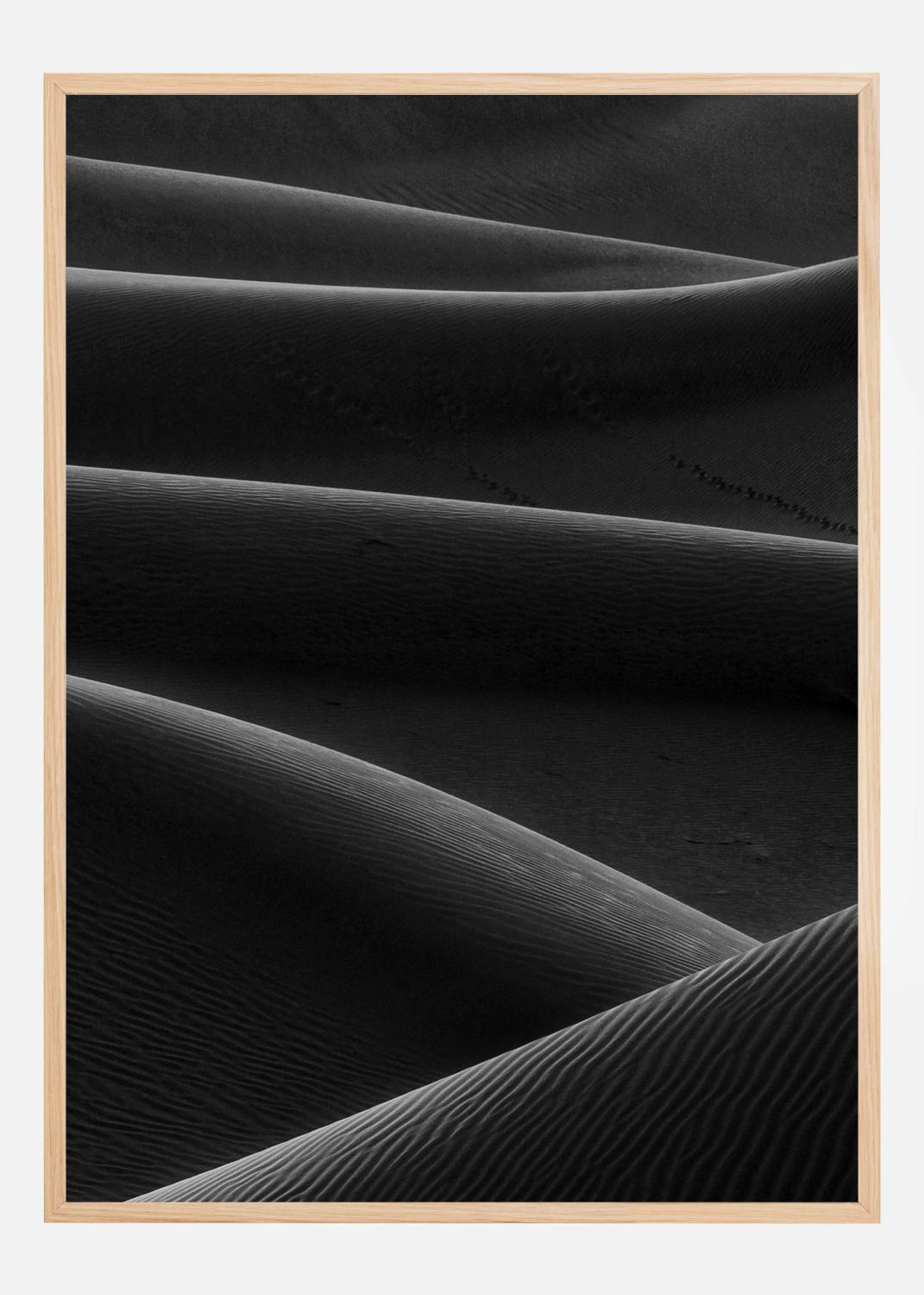 Product Image for Life in desert Póster (21x29.7 cm (A4))
