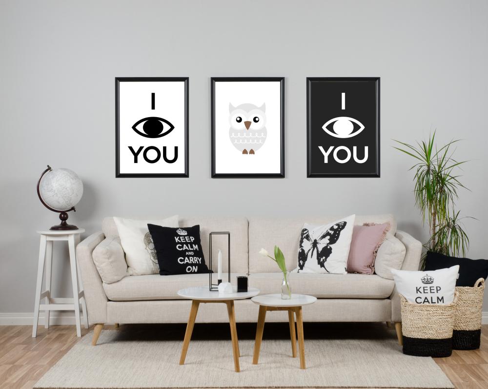 Uggla Solo - Cinzento névoa Póster