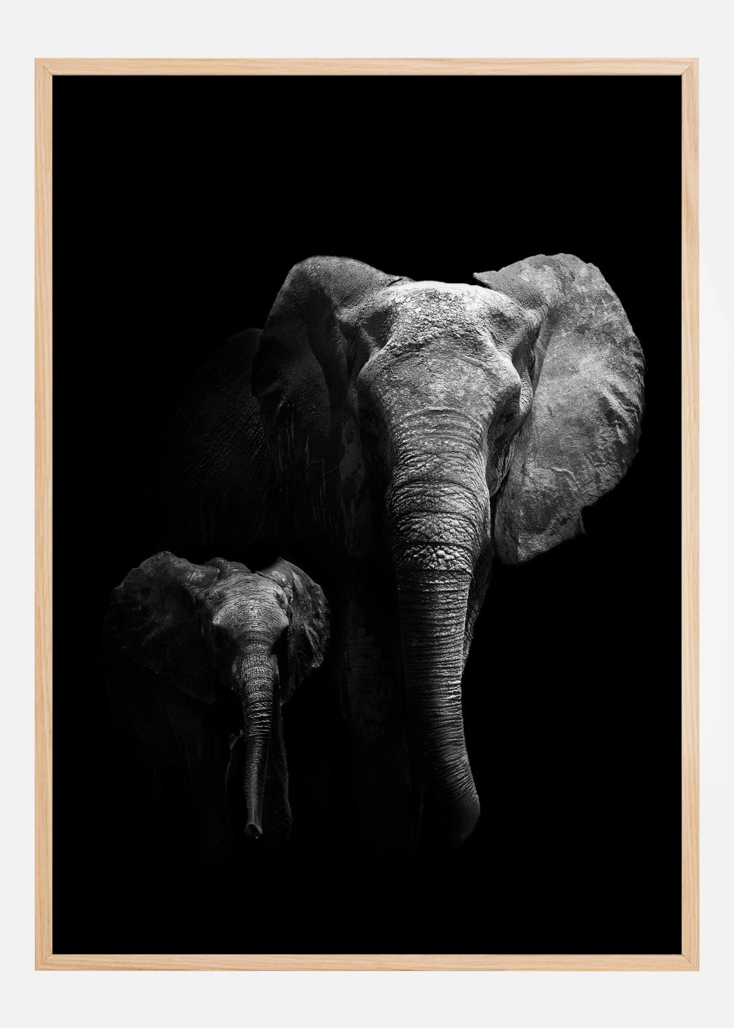 Product Image for Mother and Child Póster (21x29.7 cm (A4))