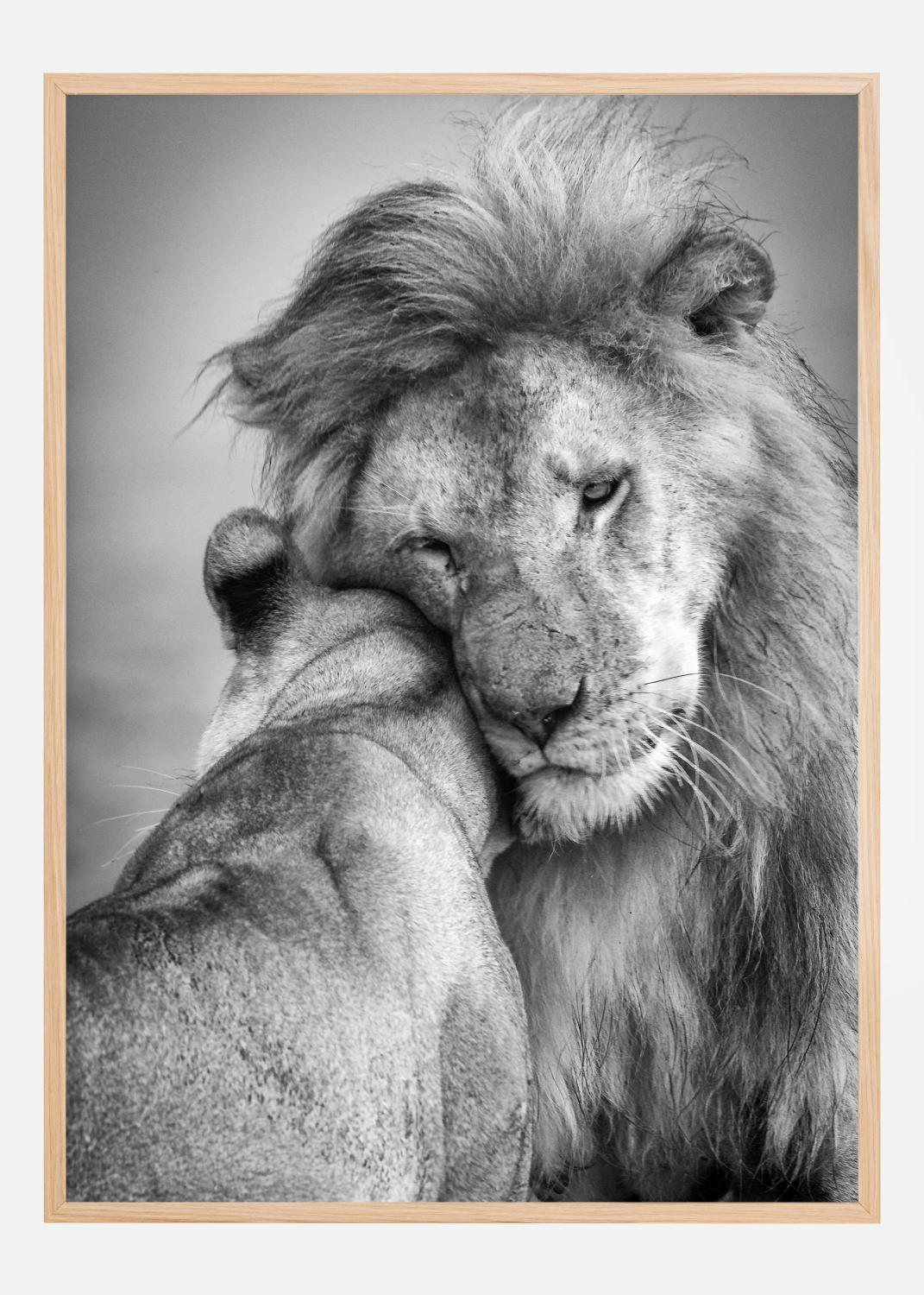 Product Image for African Love! Póster (21x29.7 cm (A4))