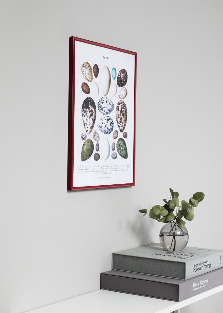 Moldura New Lifestyle Vermelho 30x45 cm