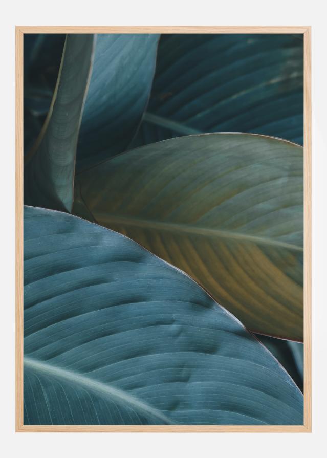 Leaf Close-Up Póster