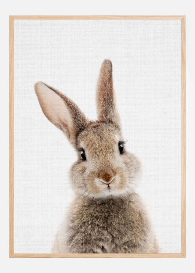 Peekaboo Bunny Póster