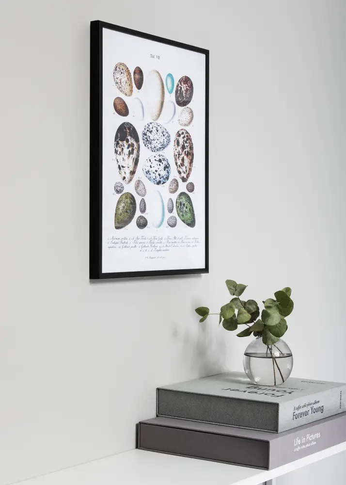 Moldura Nielsen Premium Classic Preto mate 50x70 cm
