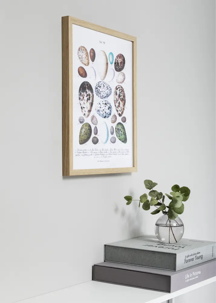 Moldura Nielsen Premium Quadrum Carvalho 40x40 cm