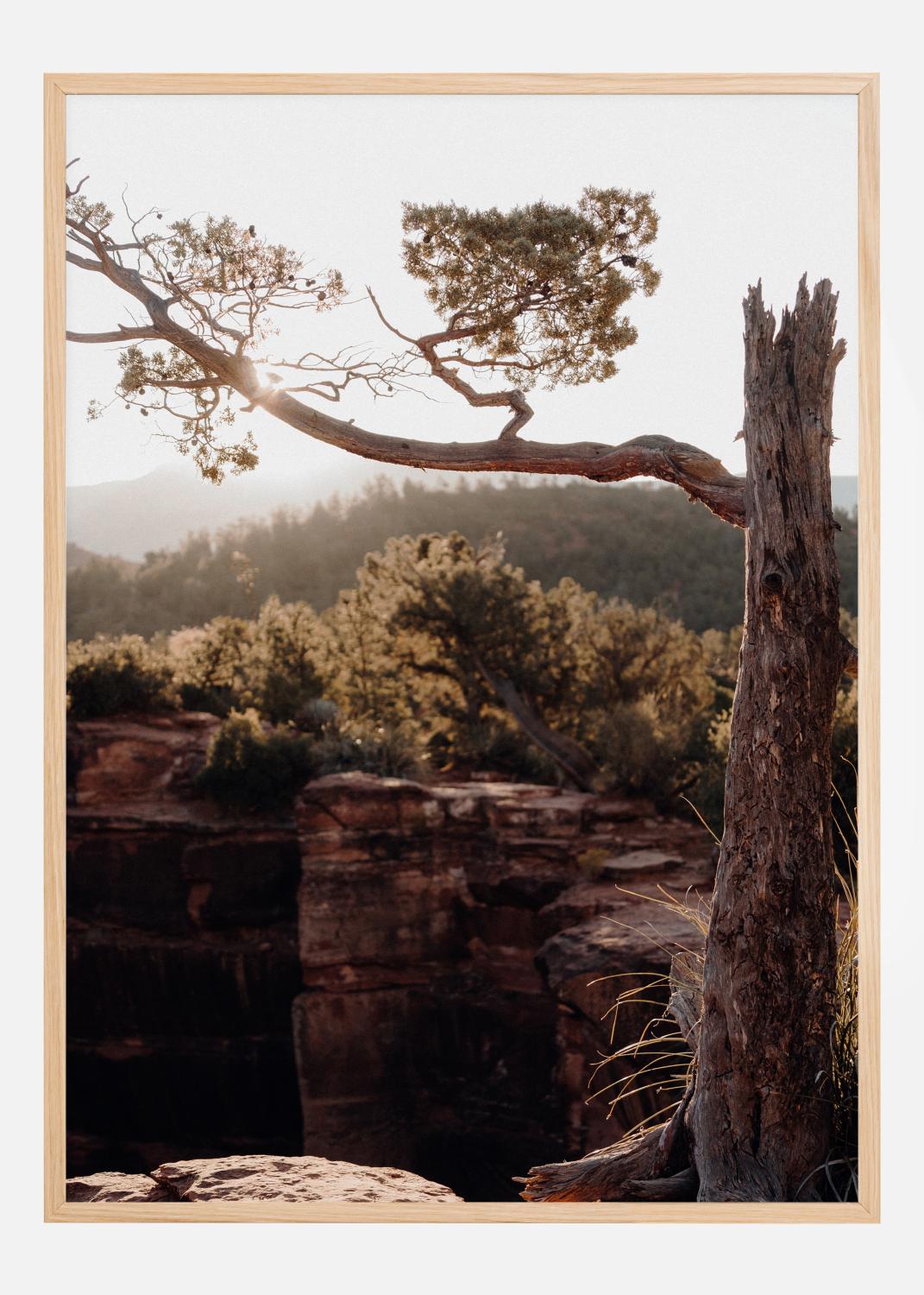 Product Image for Broken Tree Póster (21x29.7 cm (A4))