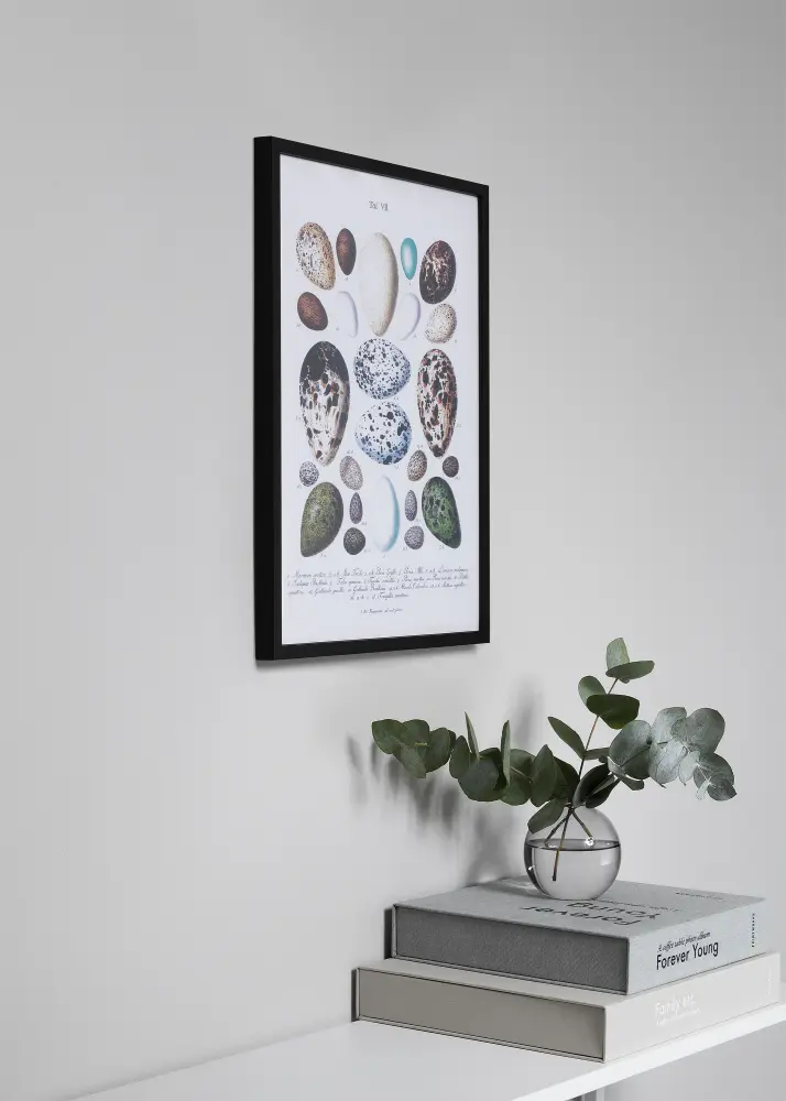 Moldura Oslo Preto 30x40 cm - Passe-partout Branco 21x29,7 cm (A4)