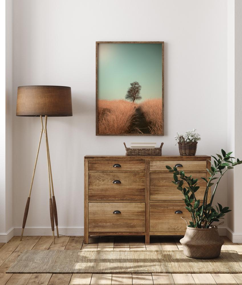 Grass And Path Póster