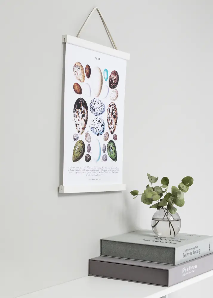 Suportes para pósteres Branco - 40 cm